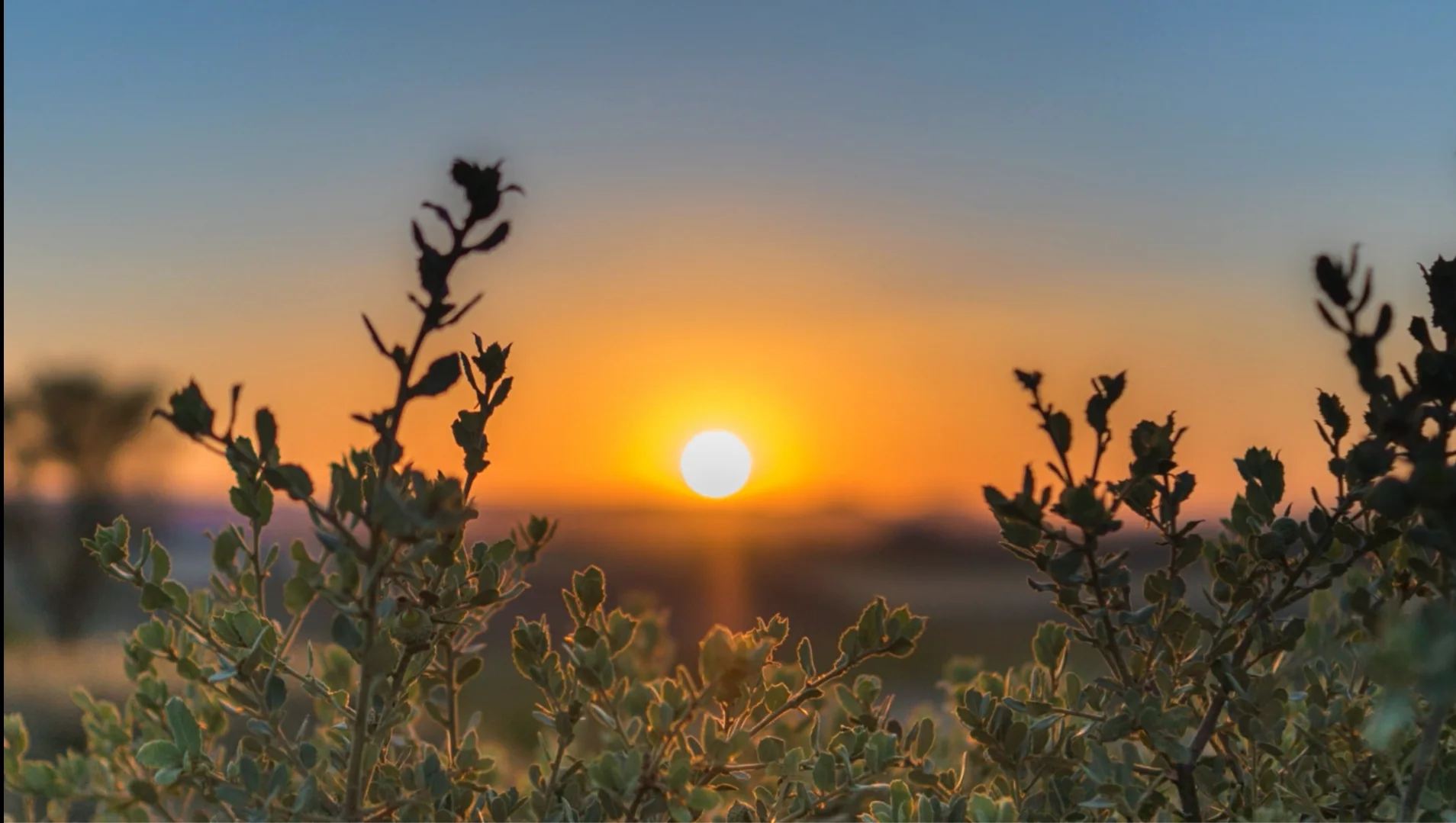 Integrative primary care