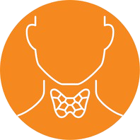 Thyroid